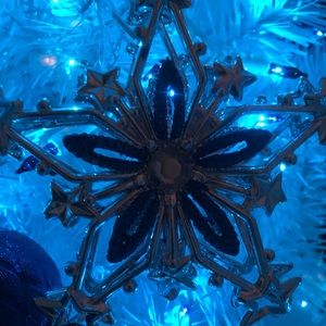 Meet your Posher, Reina